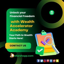 Wealth Accelerator Academy online coaching dollarshopp.com