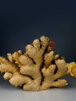 dollarshopp.com ginger rhizome